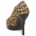 Shoes Women Court shoes Paco Gil DRIST Leopard / Black