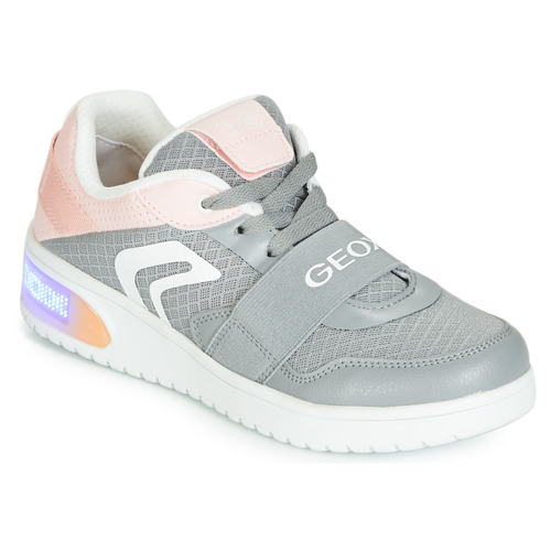 Arena Infidelidad Torrente Geox J XLED GIRL Grey / Pink / Led - Free delivery | Spartoo NET ! - Shoes  Low top trainers Child USD/$78.40