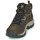 Shoes Men Hiking shoes Columbia NEWTON RIDGE PLUS II WATERPROOF Brown