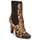 Shoes Women Ankle boots Roberto Cavalli SPS769 Brown