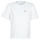 Clothing Women short-sleeved t-shirts Lacoste BENOIT White