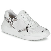 Shoes Women Low top trainers Clarks SIFT LACE White / Phyton