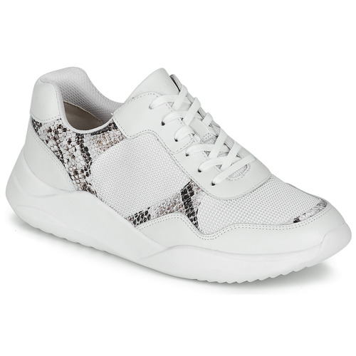 Shoes Women Low top trainers Clarks SIFT LACE White / Phyton