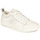 Shoes Women Low top trainers Diesel S-ASTICO LOW LACE W White