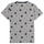 Clothing Boy short-sleeved t-shirts Esprit EUGENIE Grey