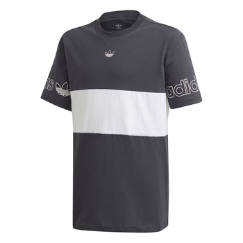 material Boy short-sleeved t-shirts adidas Originals PANEL TEE Grey / White