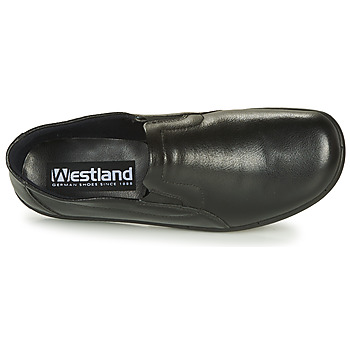 Westland BELFORT 88 Black