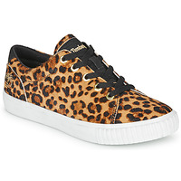 Shoes Women Low top trainers Timberland SKYLA BAY LEATHER OXFORD Leopard
