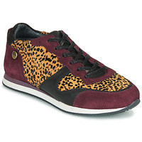 Shoes Women Low top trainers Pataugas IDOL/I F4E Bordeaux / Leopard