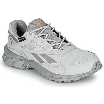 Shoes Low top trainers Reebok Classic RIDGERIDER 5 GTX Grey