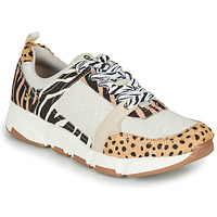 Shoes Women Low top trainers Gioseppo CREAZZO Leopard