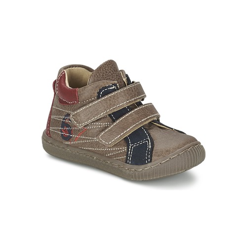 Shoes Boy High top trainers Citrouille et Compagnie THEO Taupe