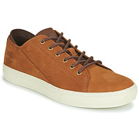 Shoes Men Low top trainers Timberland ADV 2.0 CUPSOLE MODERN OX Cognac