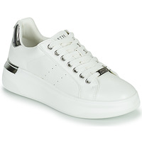 Shoes Women Low top trainers Steve Madden GLACIAL White / Silver