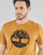 Clothing Men short-sleeved t-shirts Timberland SS KENNEBEC RIVER BRAND TREE TEE Camel