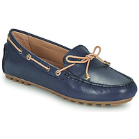 Shoes Women Loafers Geox D LEELYAN C Blue / Beige