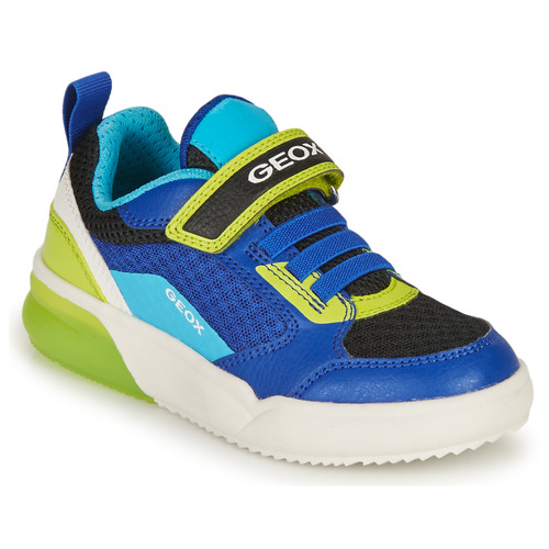 Shoes Boy Low top trainers Geox GRAYJAY BOY Blue / Lime