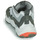 Shoes Men Low top trainers Globe OPTION EVO Grey