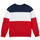 Clothing Boy sweaters Polo Ralph Lauren TRINITA Multicolour