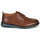 Shoes Men Derby shoes Clarks CHANTRY WING Brown