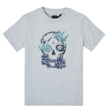 material Boy short-sleeved t-shirts Ikks XS10243-21-J Grey