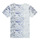 Clothing Boy short-sleeved t-shirts Ikks XS10063-19-C Multicolour