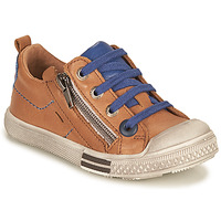Shoes Boy Low top trainers GBB STELLIO Brown