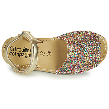 Citrouille et Compagnie SQUOUBEL Multicolour