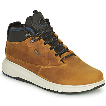 Shoes Men Mid boots Geox AERANTIS Camel