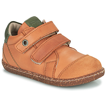 Shoes Boy High top trainers Aster WASHAN Camel / Green