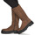 Shoes Women Boots Musse & Cloud BARBIS Brown