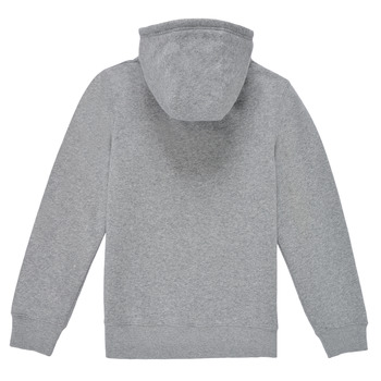Levi's GRAPHIC PULLOVER HOODIE Grey