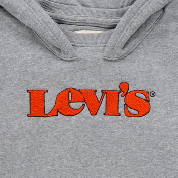 Levi's GRAPHIC PULLOVER HOODIE Grey