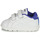 Shoes Boy Low top trainers Reebok Classic RBK ROYAL COMPLETE White / Blue