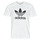 Clothing Men short-sleeved t-shirts adidas Originals TREFOIL T-SHIRT White