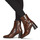 Shoes Women Ankle boots Minelli MARIELLA Brown