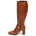 Shoes Women Boots Fericelli PACHA Brown