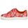 Shoes Women Low top trainers Cosmo Paris HAJIA Pink / Flower