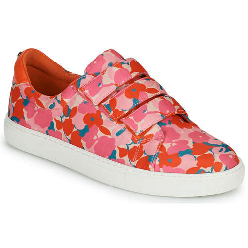 Shoes Women Low top trainers Cosmo Paris HAJIA Pink / Flower