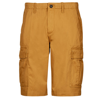 material Men Shorts / Bermudas Timberland OUTDOOR HERITAGE RELAXED CARGO Beige