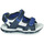 Shoes Boy Sandals Chicco COSIMO Blue / White
