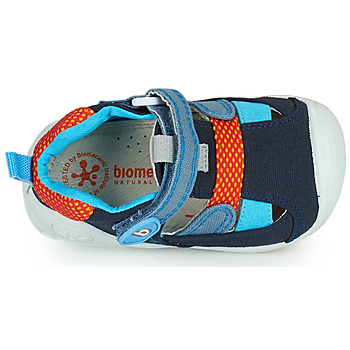 Biomecanics ANDREA Blue