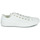 Shoes Women Low top trainers Converse Chuck Taylor All Star Mono White Ox White