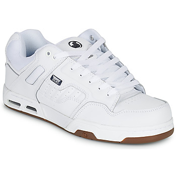 Shoes Men Low top trainers DVS ENDURO HEIR White