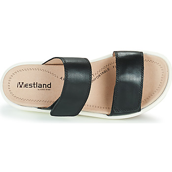 Westland ALBI 03 Black
