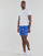 Clothing Men Trunks / Swim shorts Polo Ralph Lauren W221SC13 Blue / Multicolour