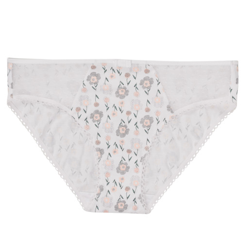 Underwear Women Knickers/panties DIM GENEROUS COTON BIO Multicolour
