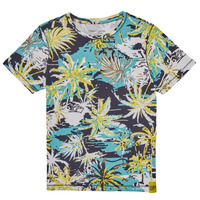 Clothing Boy short-sleeved t-shirts Teddy Smith T-AUSTIN Multicolour