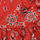 Clothing Girl Short Dresses Petit Bateau BLOOM Red