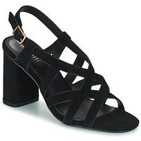 Shoes Women Sandals Minelli LYDIE Black